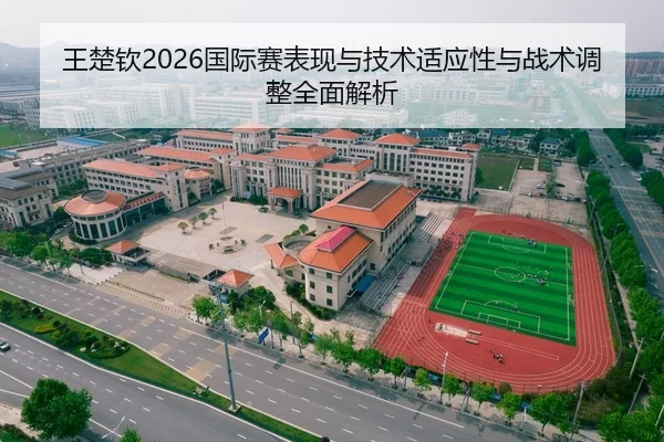 王楚钦2026国际赛表现与技术适应性与战术调整全面解析