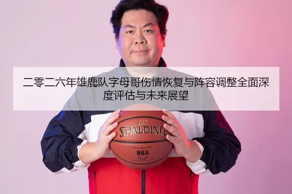 二零二六年雄鹿队字母哥伤情恢复与阵容调整全面深度评估与未来展望